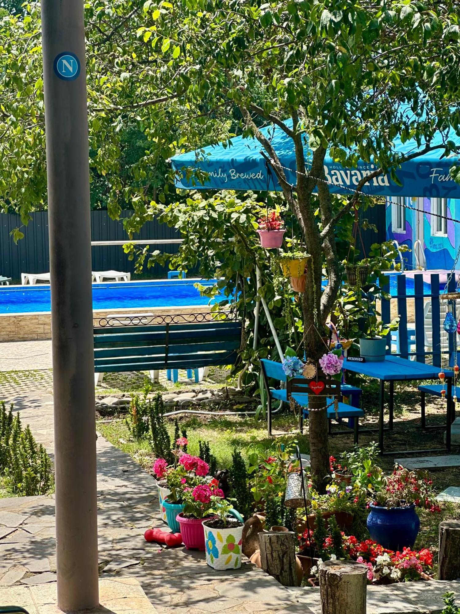 Napoli Nataxtari Hotel,Pool,Bar,Kamping Natakhtari エクステリア 写真